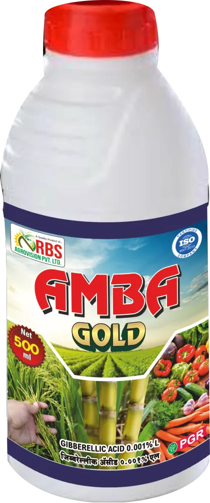 amba gold